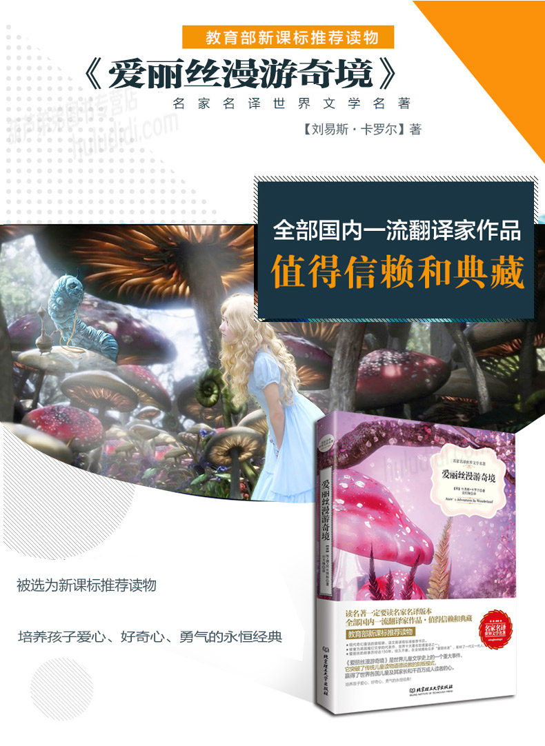 《爱丽丝漫游奇境》 图1