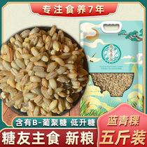 High quality highland barley rice 5 catty blue highland barley kernel Qinghai-Tibet Plateau Teryield 5 cereals New rice healthy coarse grain
