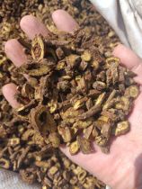 Scutellaria baicalensis naturally grown in Inner Mongolia Scutellaria baicalensis Scutellaria baicalensis Scutellaria baicalensis Scutellaria baicalensis