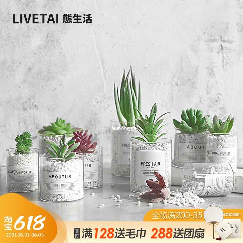 Nordic plant simulation meaty potted art photo props Creative home ins green plant decoration