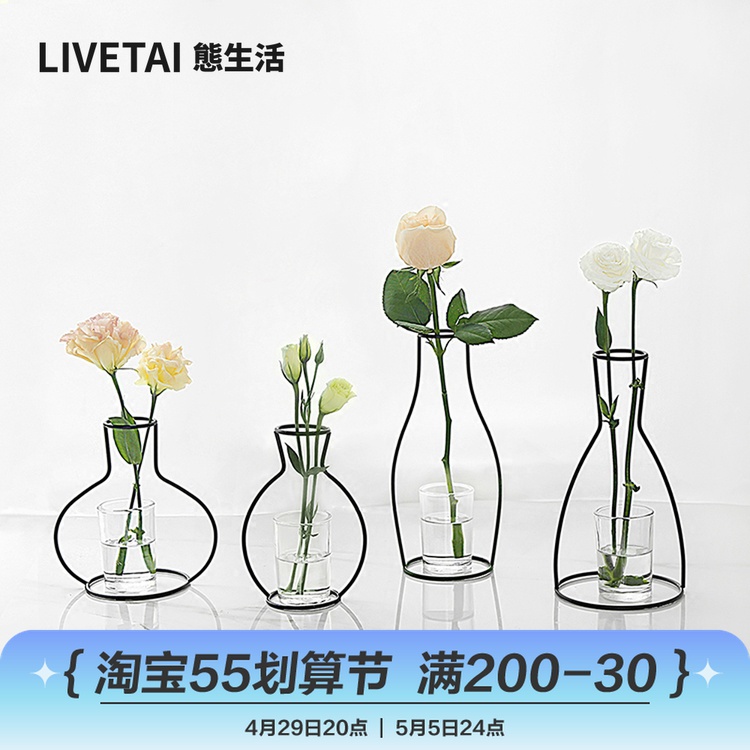 State Life Ins Nordic Iron Art Glass Vases Aqua Floral Flower Floral Dried Flowers Flowers Decorate Table Hem