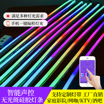 ktv bar atmosphere rhythm voice control dynamic response neon light with LED 12v phantom light bar horse horse 5v pickup control