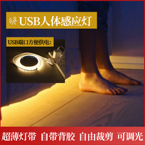 USB smart human body sensor light with LED waterproof corridor clothes kitchen cabinet light Entrance night light 5v battery box light strip