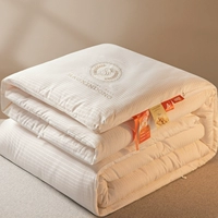 Утепленное хлопковое одеяло для домашнего использования