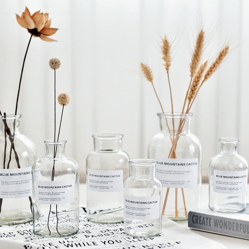 Simple Nordic style ins transparent glass vase Hydroponic glass aromatherapy bottle Small fresh living room decoration