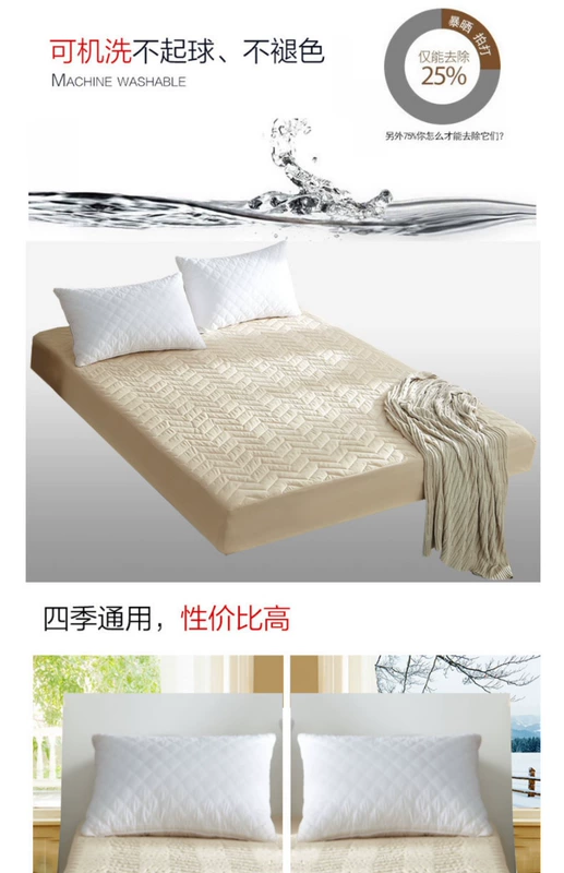 Giường đệm mền trải giường bọc nệm cao su một mảnh chống trượt Simmons bảo vệ một mét tám bụi che hai 	ga giường bo chun