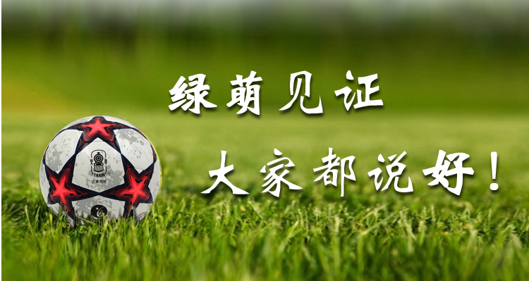 Ballon de foot - Ref 5820 Image 25