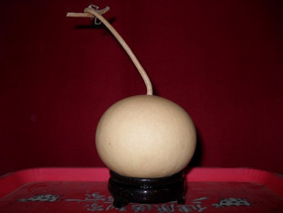 Apple gourd of the original color of the tomatoes