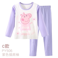 C модель Purple [Class A Pure Chotcon] Py506