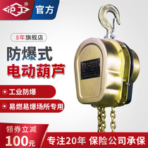 Shanghai industrial explosion-proof chain hoist 1 ton 2 tons 3 tons 5 tons 380V Crane hoist electric reverse chain 220V