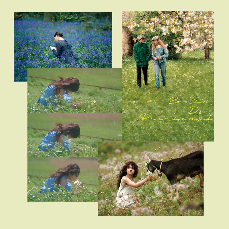 [Spring in the Movies] Spring Atmosphere Movie Poster Collection Artistic Room Decoration Painting Core Background Wall Stickers