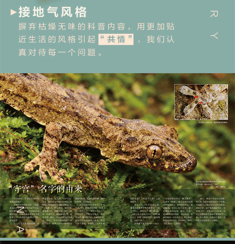 中国国家地理出品 《博物君式科普》 十年博物杂志精选 图10