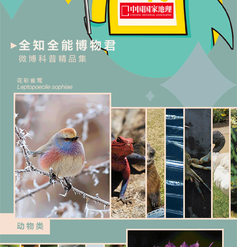 中国国家地理出品 《博物君式科普》 十年博物杂志精选 图6