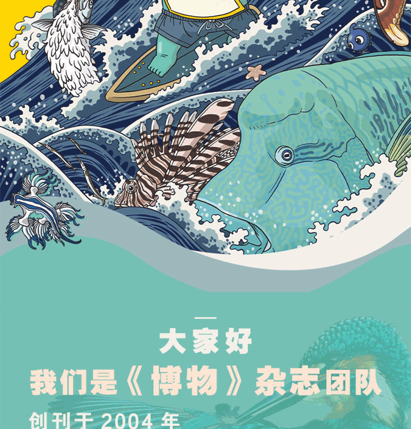 中国国家地理出品 《博物君式科普》 十年博物杂志精选 图2