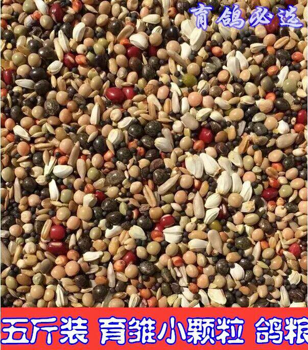5kg special A-class pigeon food Corn-free young pigeon feed Bird food Carrier pigeon ornamental pigeon meat Pigeon food Young pigeon feed