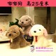 hộp nhựa nhỏ 30 trung bình Grabber búp bê hoạt hình sang trọng đồ chơi búp bê gấu ném đám cưới trò chơi quà tặng búp bê hộp nhựa tròn