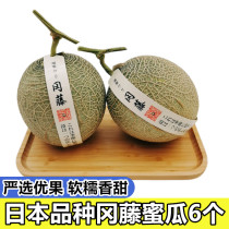 Japanese variety Gangteng Melon 6 gift boxes Shizuoka Yuezhang Ice Cream Melon Net Hami Melon Hami Melon Fresh
