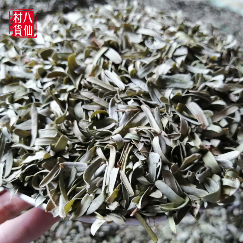 Oil Citrus Leaf New Sunburn Ganye Bulk Yu Ganzi Oil Gang Leaf Pillow Pillow Core Padding 