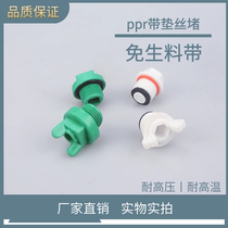 PPR outer wire plug 4 points 6 points Free raw material with waterproof outer wire plastic pipe plug cap Water pipe fittings with leather ring