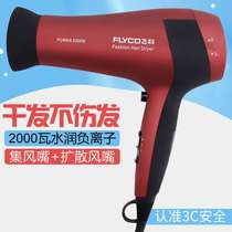 Feike Electric Blow Fly dryer household high power negative ion hair halldddryer red wind dryer FH6218