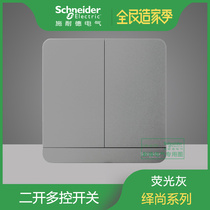 Schneider Yishang fluorescent gray two-position two-open dual-link multi-control three-control double-open midway switch original