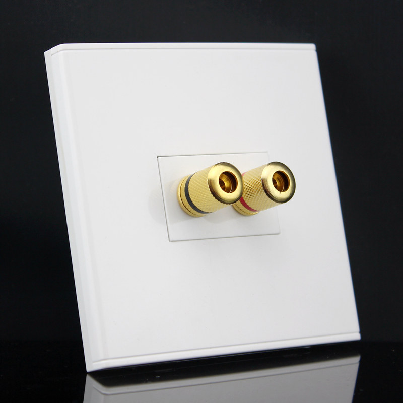 Type 86 One speaker panel 5 1 surround sound video multimedia socket panel banana double head post head