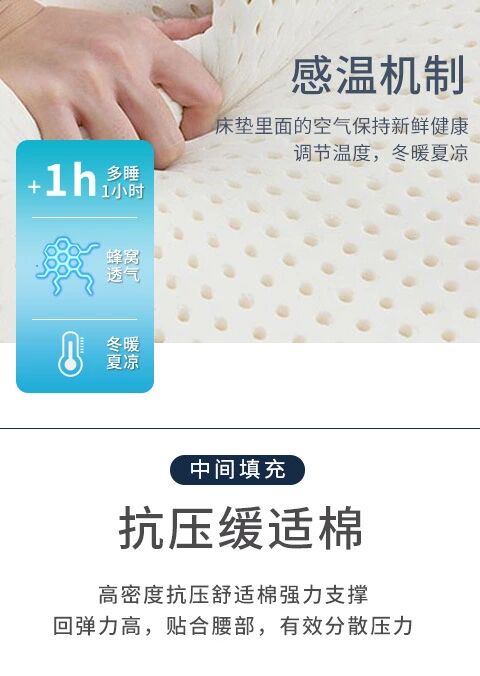 Nệm nệm ký túc xá sinh viên nệm cao su đơn 1,5m1,8 m nệm đôi 10cm - Nệm nệm nước