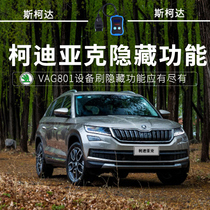 Skoda brush hide Kodiak brush hide function lock car sound turn signal three-change five atmosphere light multi-color