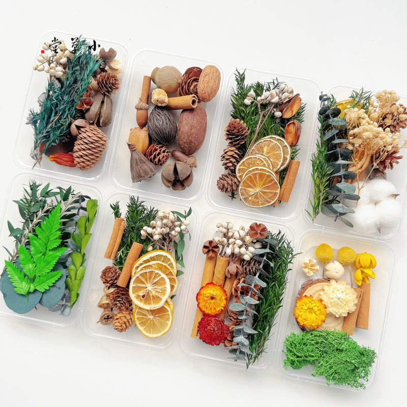 Handmade DIY Material Kit Mixed Floral Materials Natural Plant Dried Flowers Christmas Pine Cones Kindergarten Forest-Themed Environment Creation Decoration