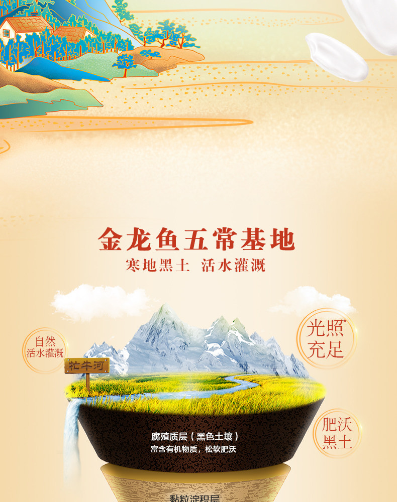 安享好物 安享A级粳米-金龙鱼天赋五常大米 国标