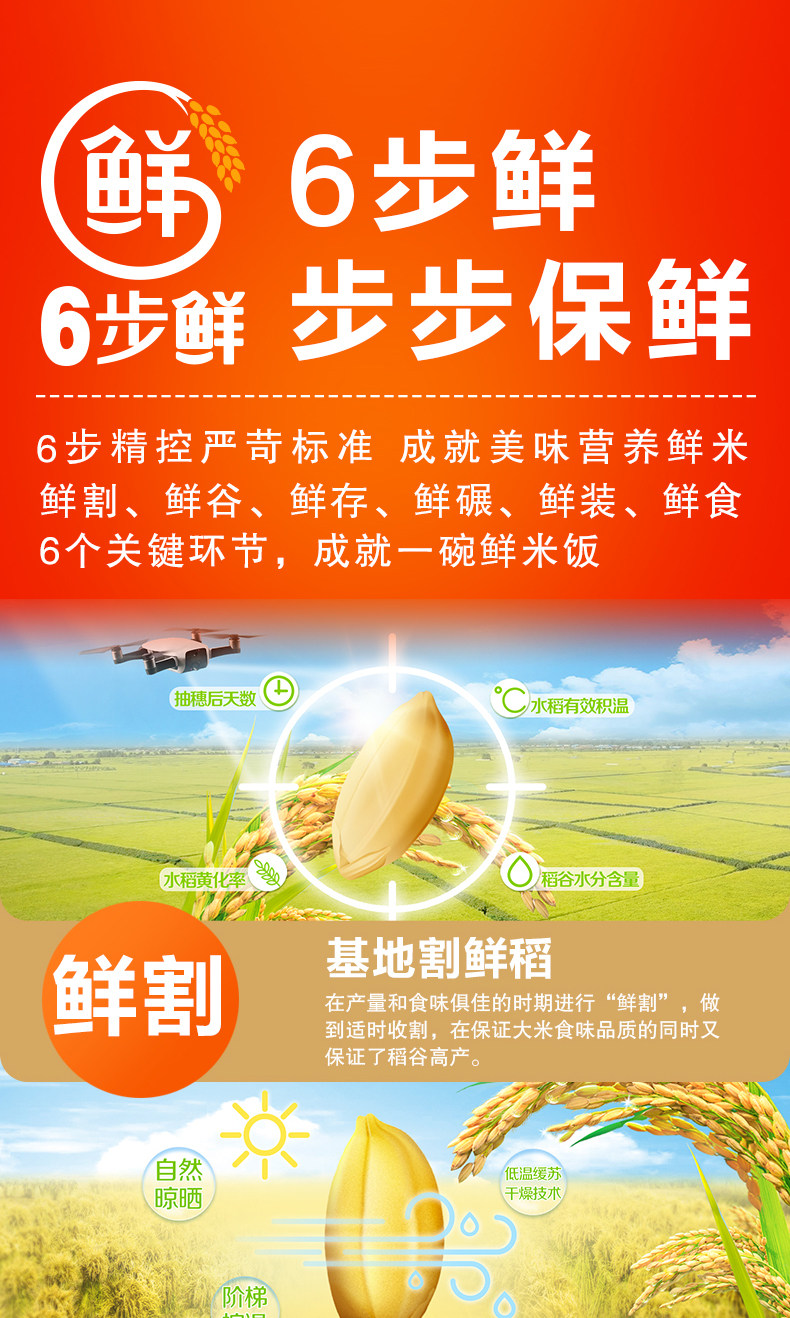 安享好物 安享A级粳米-金龙鱼天赋五常 6步鲜五常大米 国标