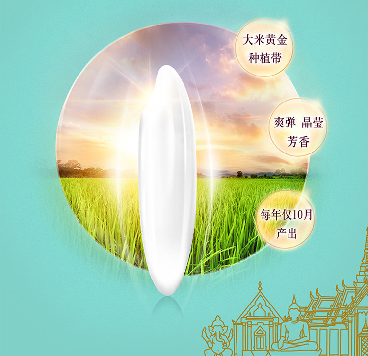 香纳兰湄菩诗泰国香米5KG进口大米10斤优质稻米正宗泰米