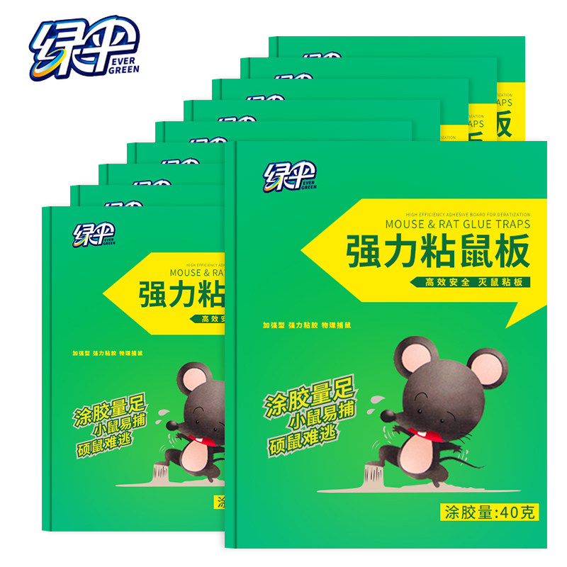 Green umbrella sticky mouse board Ultra-strong 10-piece household mouse paste rat repellent rat killer Clip drug catch catch rat glue