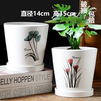 Ценность двух цветочных ветвей для набора цветочных горшков