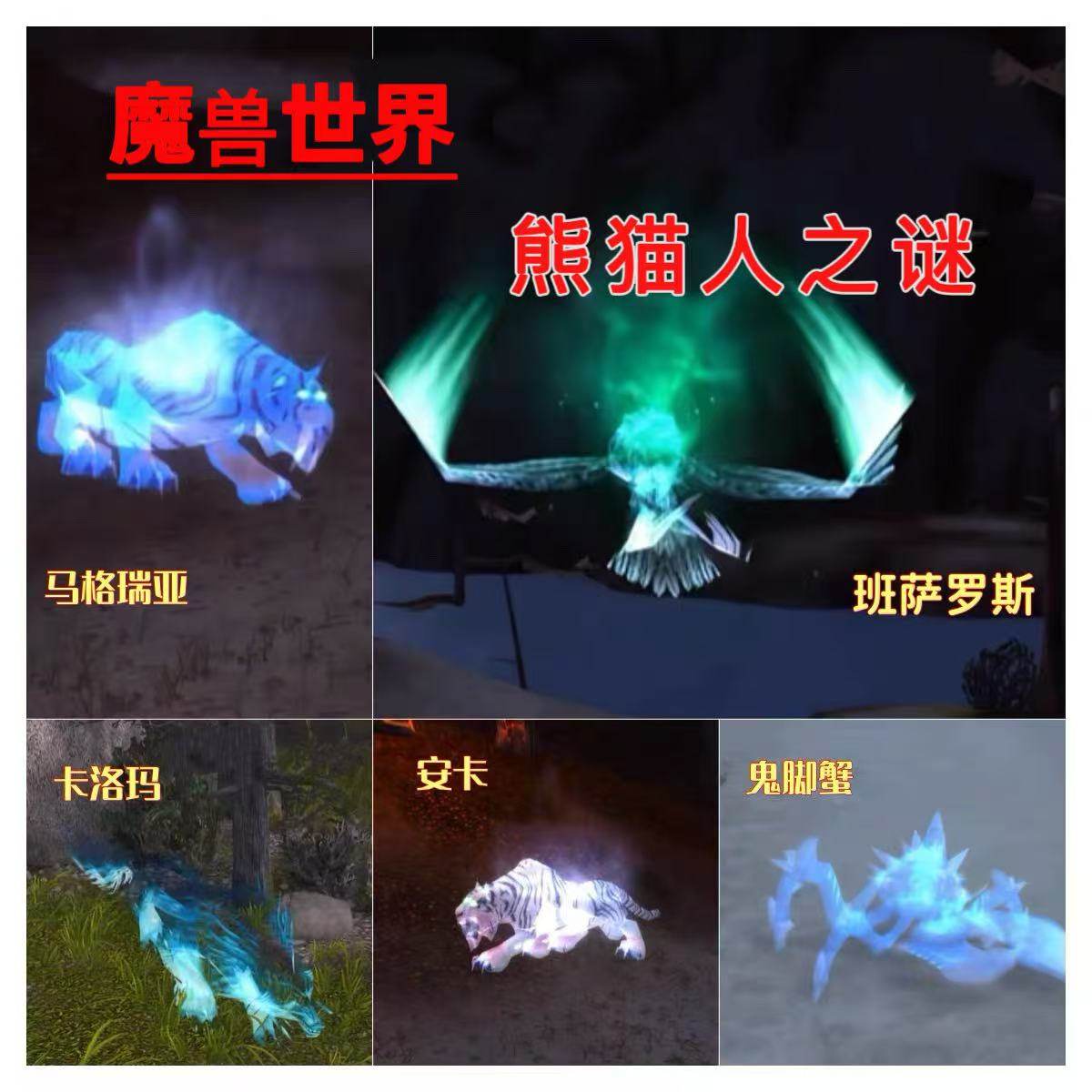 魔兽世界熊猫人之谜猎人灵魂兽代抓练安卡洛玛火龟班萨罗斯LR宝宝
