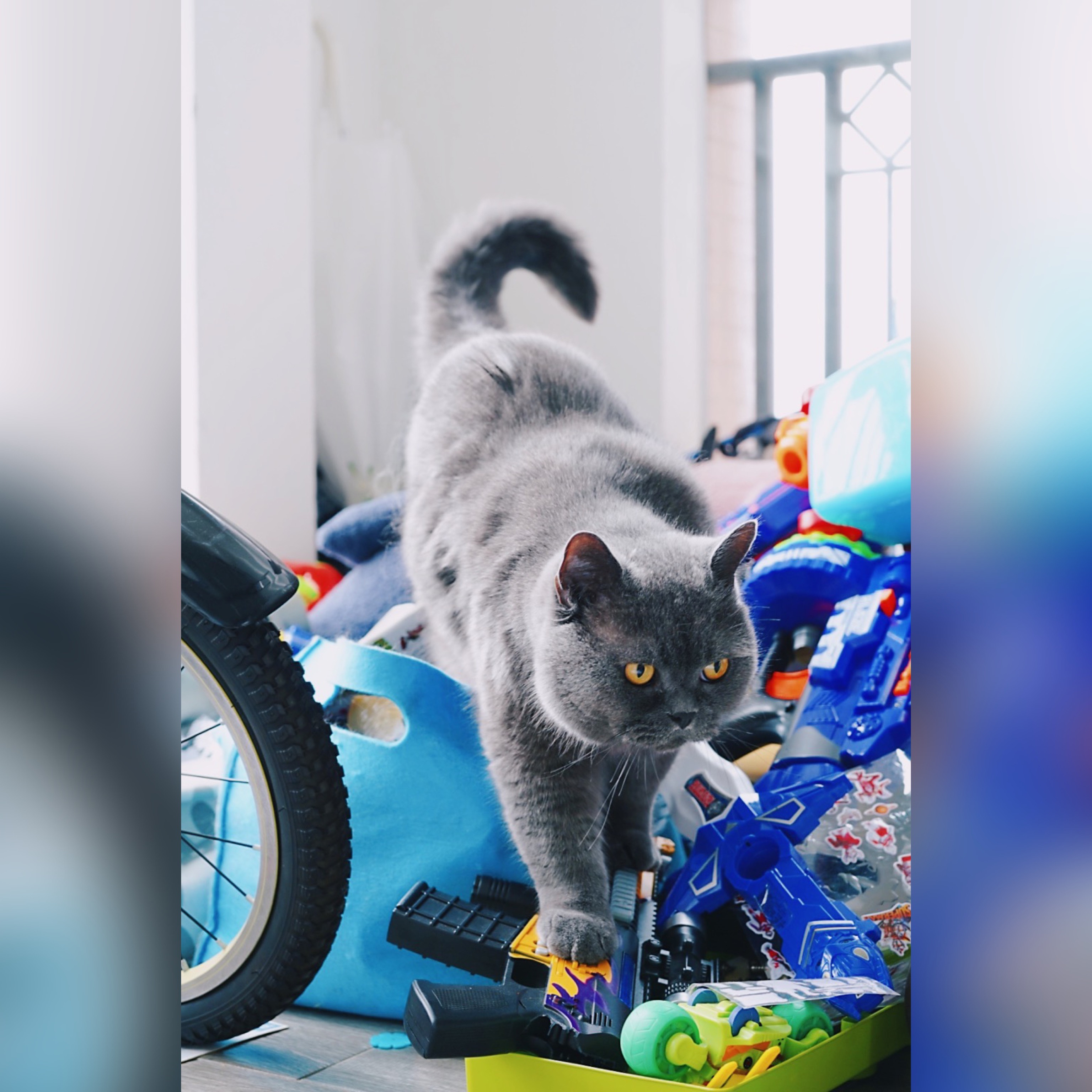 Post & Special Products