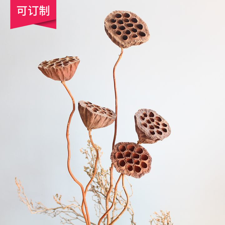 New Chinese-style natural air-dried Buddha art modeling soft-packed home decoration curved rod dry lotus pod without child true lotus pod