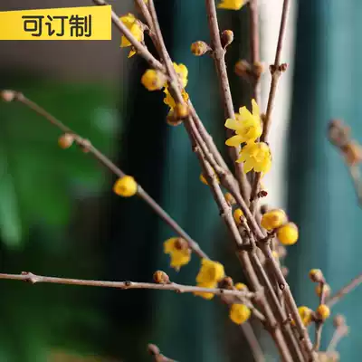Natural flowering in case of water, fresh cut flowers, real flowers, soaked in water, dried flowers, dried branches, dried flowers, artist's residence, creative flower inserts