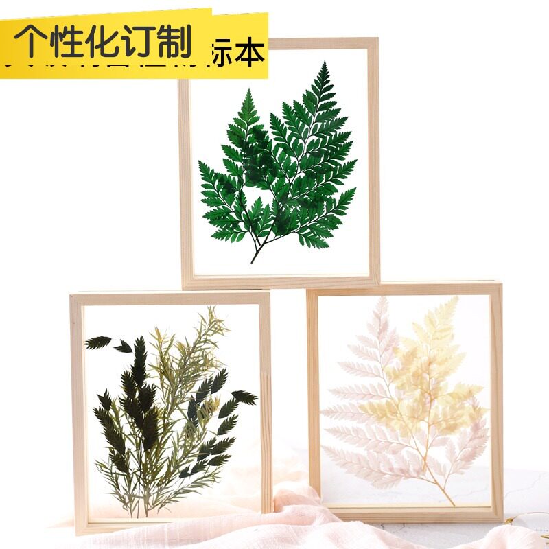 Northern Europe living room plant specimen dry flower eternal life flower embossed wooden picture frame finished product can be hung but erect background wall
