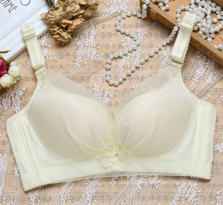 Không có vòng thép đồ lót mỏng tập hợp điều chỉnh áo ngực ngực lớn cho thấy bộ sưu tập nhỏ của ren ren nữ gợi cảm mùa hè noi y cao cap
