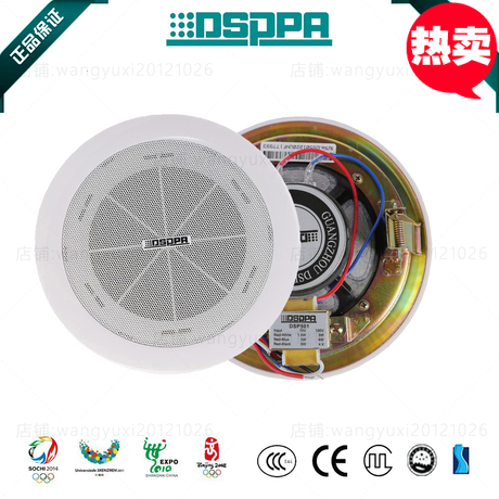 DSPPA new disserp DSP501 ceiling suction top sound box 45 inch horn constant pressure 3W6W drilling size 164