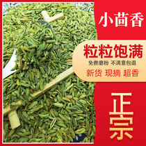 Spice Great Whole Small Fennel 100 gr Seasoning Valley Fennel Milling Powder Tannel Seeds Anise Anise with no sulphur