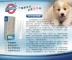 Bessa Jinweijian Pet Dog Dog Kem dinh dưỡng 250g Cải thiện hiệu quả Sản phẩm chăm sóc sức khỏe cho chó