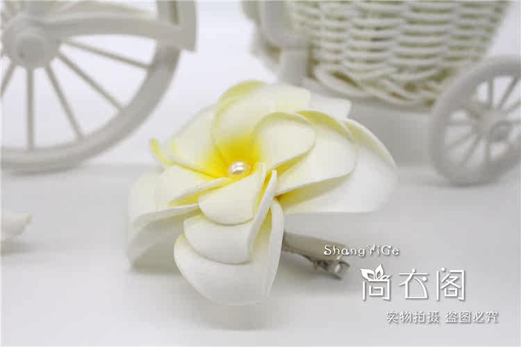 Accessoire cheveux en autre - Ref 1199797 Image 34