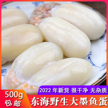 Ningport produces wild cuttlefish eggs 500g big white eggs East Sea big squid eggs freshly cured seafood
