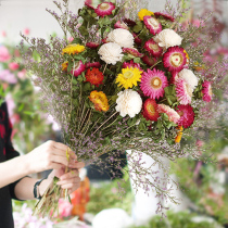 Small Daisy Yunnan dried flower arrangement colorful chrysanthemum flower arrangement real flower Star forget me flower Tanabata Mothers Day