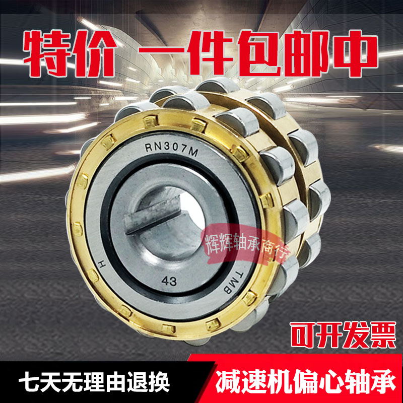 Cycloid reducer accessories Eccentric bearings RN205M RN204M RN206M 502205 502206