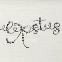 3 Графическая ссылка [Не фотографировать] Не фотографировать