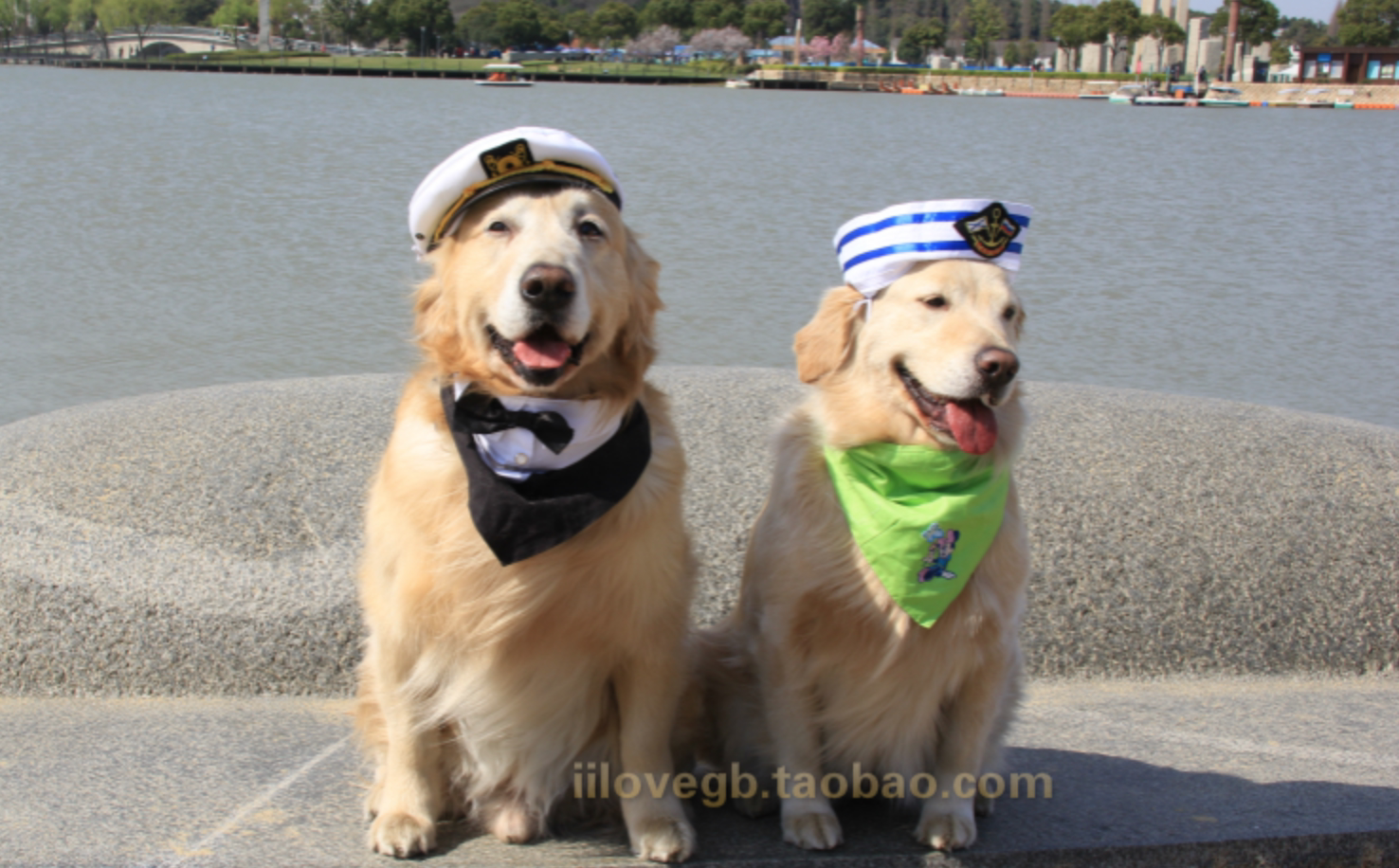 Pet Kitty Balsamic Smooth Fluffy Slip Fluffy Play Beauty Storm Amulet Rume Dog Body Lotion Teddy Bath-Taobao