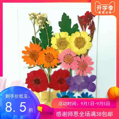 Flower material package dried flower package pressed flower embossed specimen diy material Epoxy dried flower material plant specimen teaching